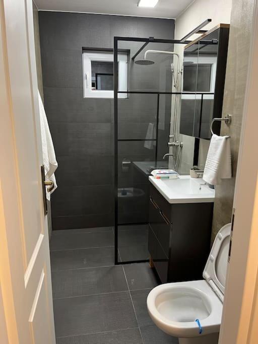 Apartament スチャヴァ エクステリア 写真